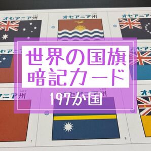 世界の国旗 197カ国 暗記カード(裁断なし)★世界地図・国旗一覧・資料付き