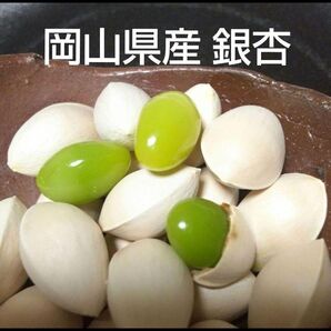 (令和7年)2025年 岡山県産 銀杏 ぎんなん400g サイズ無選別 a