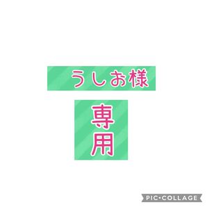 うしお様専用 淡路島玉ねぎ苗3号30本