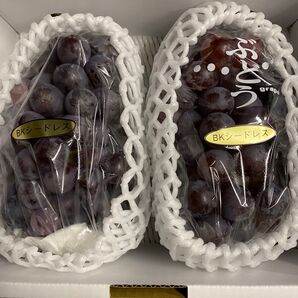 山形県産 訳あり樹上完熟BKシードレス超特大2房