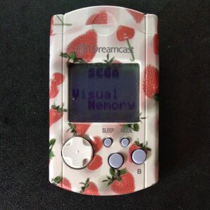 ビジュアルメモリ いちこ柄 DC ドリームキャスト Dreamcast