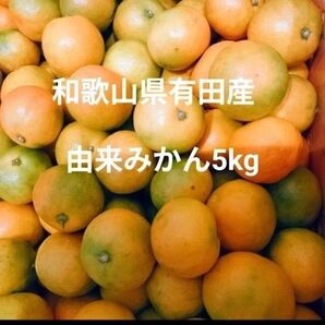 和歌山県有田産 小粒由良みかん5kg