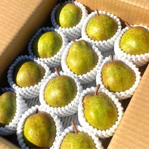 山形県産 ラフランス 3キロ箱!!