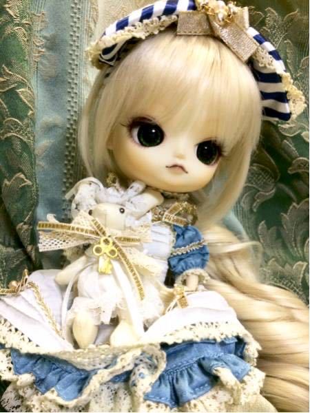 ヤフオク! -little pullipの中古品・新品・未使用品一覧