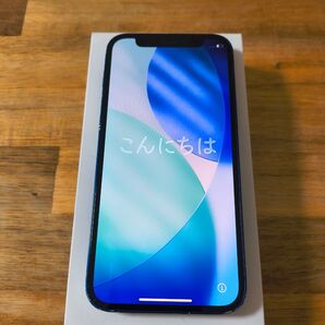 iPhone 12 mini 64GB ブルー SIMフリー バッテリー76% iOS26.1