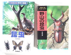 野山の昆虫 新・ポケット版学研の図鑑 昆虫 (増補改訂版) 岡島秀治 ヤマケイポケットガイド 今森 光彦 2冊セット