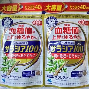 小林製薬 サラシア100 40日分 2個セット 消費者庁許可・特定保健用食品