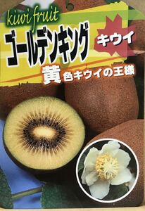 黄色キウイの王様 ゴールデンキング キウイフルーツ 雌雄苗木