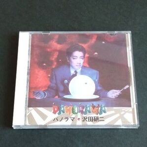 沢田研二 パノラマ