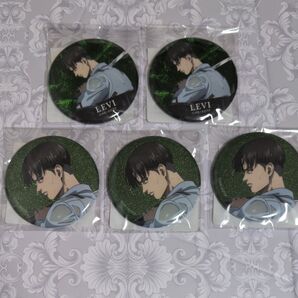 進撃の巨人 戦う背中 くじ リヴァイ グリッター缶バッジ