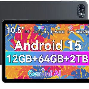 Android15 タブレット 10インチ 薄型軽量 Type-C充電
