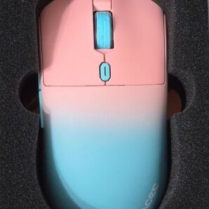 納品書◎ VANCER GEMINI CASTOR PRO cotton candy