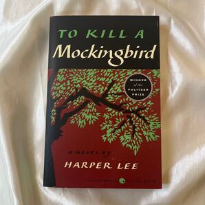 To Kill a Mockingbird - Harper Lee