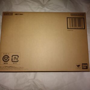 新品未開封! プレミアムバンダイ限定 METAL BUILD メタルビルド ケンプファー