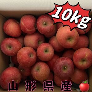 山形県産 りんご ご家庭向け10kg 訳あり