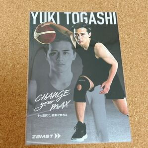 バスケットボール 選手 ポストカード 非売品 購入特典 富樫勇樹 ZAMST ザムスト Bリーグ
