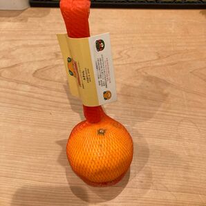 愛媛 みかん ペン立て 2穴