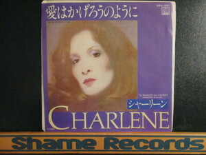 Charlene ： I've Never Been To Me 7'' / 45s ★ 愛はかげろうのように ☆ c/w Somewhere In My Life // 落札5点で送料無料