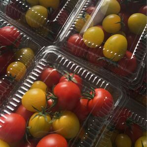 おかわり セレクト