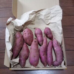 甘さ控え目なホクホクしたパープルスィートロード約1kg以上(箱込み)お菓子の色付けなど