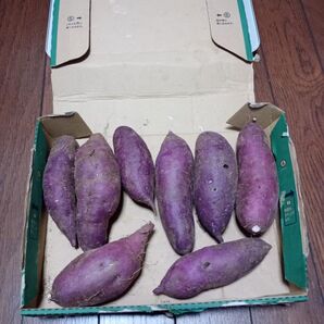値下げ中!甘さ控え目なホクホクしたパープルスィートロード約1kg以上(箱込み)お菓子の色付けなど アントシアンの綺麗な紫色