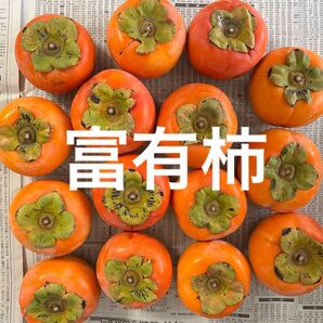山梨県産 富有柿 甘柿 15個程 新鮮