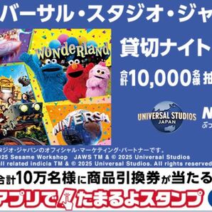 11月14日14:00〜 ユニバーサルスタジオジャパン ペア券