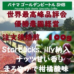 【セール10%OFF】パナマ ゴールデンビートル SHB コーヒー豆・粉 100g
