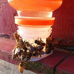 5 セット蜂飲料水機器女王穿孔自動給水器養蜂ツール