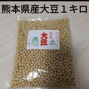 【熊本県産☆たっぷり1キロ☆】国産大豆 お味噌 煮豆 納豆作り 無添加 きな粉 九州 乾燥大豆 中粒 備蓄