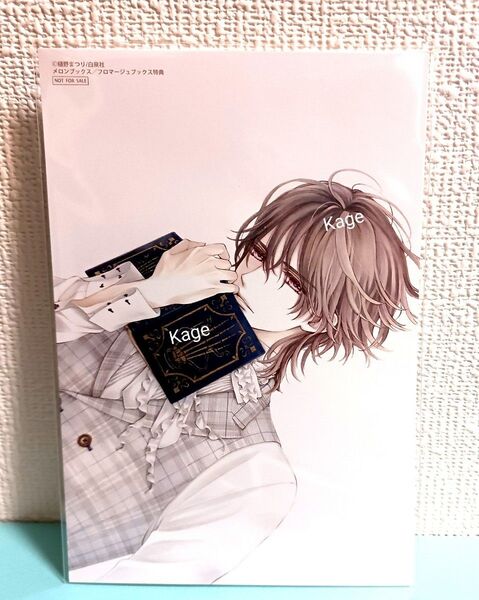 ヴァンパイア騎士 memories10巻 メロンブックス(フロマージュ)特典 【イラストカード(ポストカード)】のみ