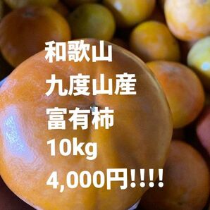 和歌山 富有柿 ご家庭用