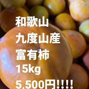 和歌山 富有柿 ご家庭用