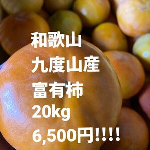 和歌山 富有柿 ご家庭用