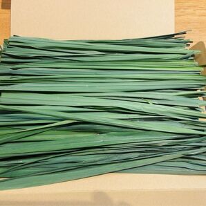 終了間際の今だけ価格!栃木県産レモングラス生葉300g