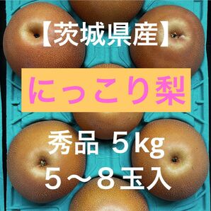 (11/27昼まで)【茨城県産】にっこり梨 5kg 秀品 5~8玉入