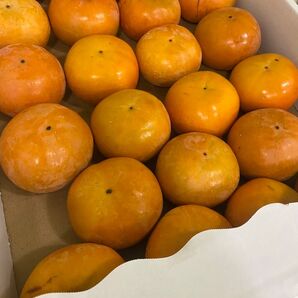 福岡産富有柿 5kg箱