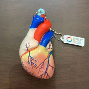 心臓 キーホルダー