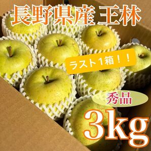 ★昨日朝採れの超新鮮品! 長野県産 王林りんご 秀品 3kg 3キロ 産地直送 甘くてジューシー 芳醇な香り サクサク食感 2