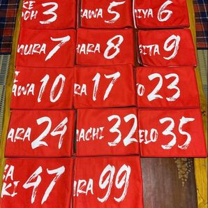 【バラ売り】福岡ソフトバンクホークス カチドキレッド タオルマフラー 全14種