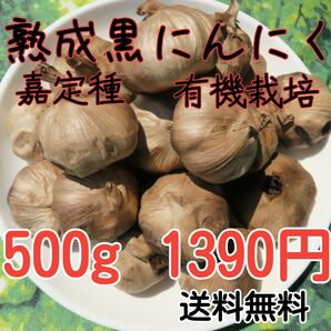 完熟黒にんにく 嘉定種 有機JAS認証 濃厚 500g 食品衛生責任者許可あり