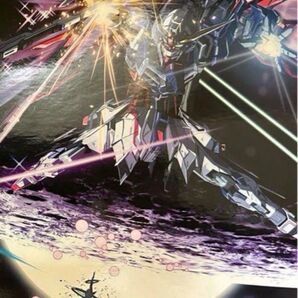 Metal build メタルビルド デスティニーガンダム フルパッケージ