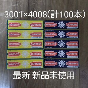 新品未使用 コウケントー 黒田製作所 光線 カーボン 3001 4008 計100本 可視光線 コーケントー kokento 痔