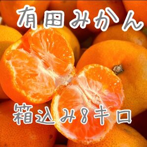 有田みかん8kg