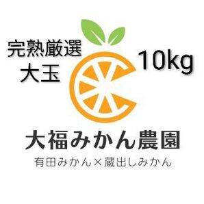 【大人気】完熟厳選大玉(有田みかん・蔵出しみかん)10kg 大福みかん農園