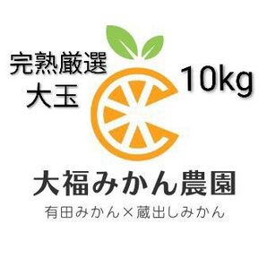 【大人気】完熟厳選大玉(有田みかん・蔵出しみかん)10kg 大福みかん農園