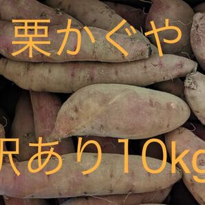 【追熟完了】 さつまいも 栗かぐや 10kg 訳あり品 茨城県産