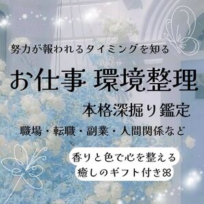 仕事深掘り 7項目深掘り★チャット鑑定