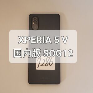 Xperia 5 V 128GB