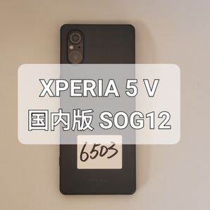 Xperia 5 V 128GB